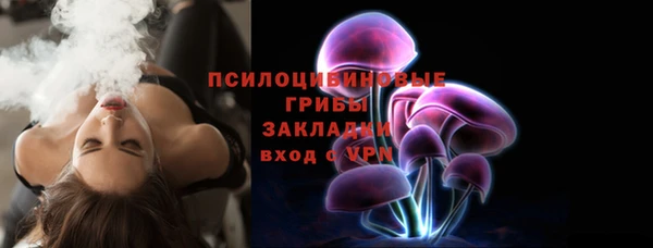 таблы Богданович