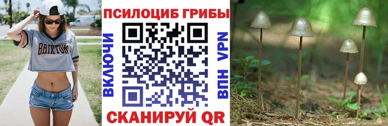 купить   darknet как зайти  Псилоцибиновые грибы ЛСД  Комсомольск-на-Амуре  кракен вход 